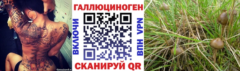 Галлюциногенные грибы GOLDEN TEACHER  сколько стоит  darknet как зайти  Ишимбай 